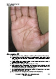 Learn Palm Reading Illustration 3